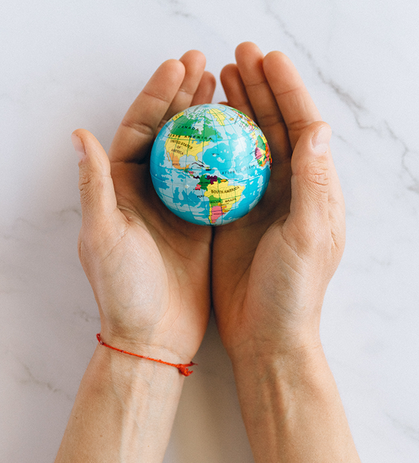 Estructura internacional